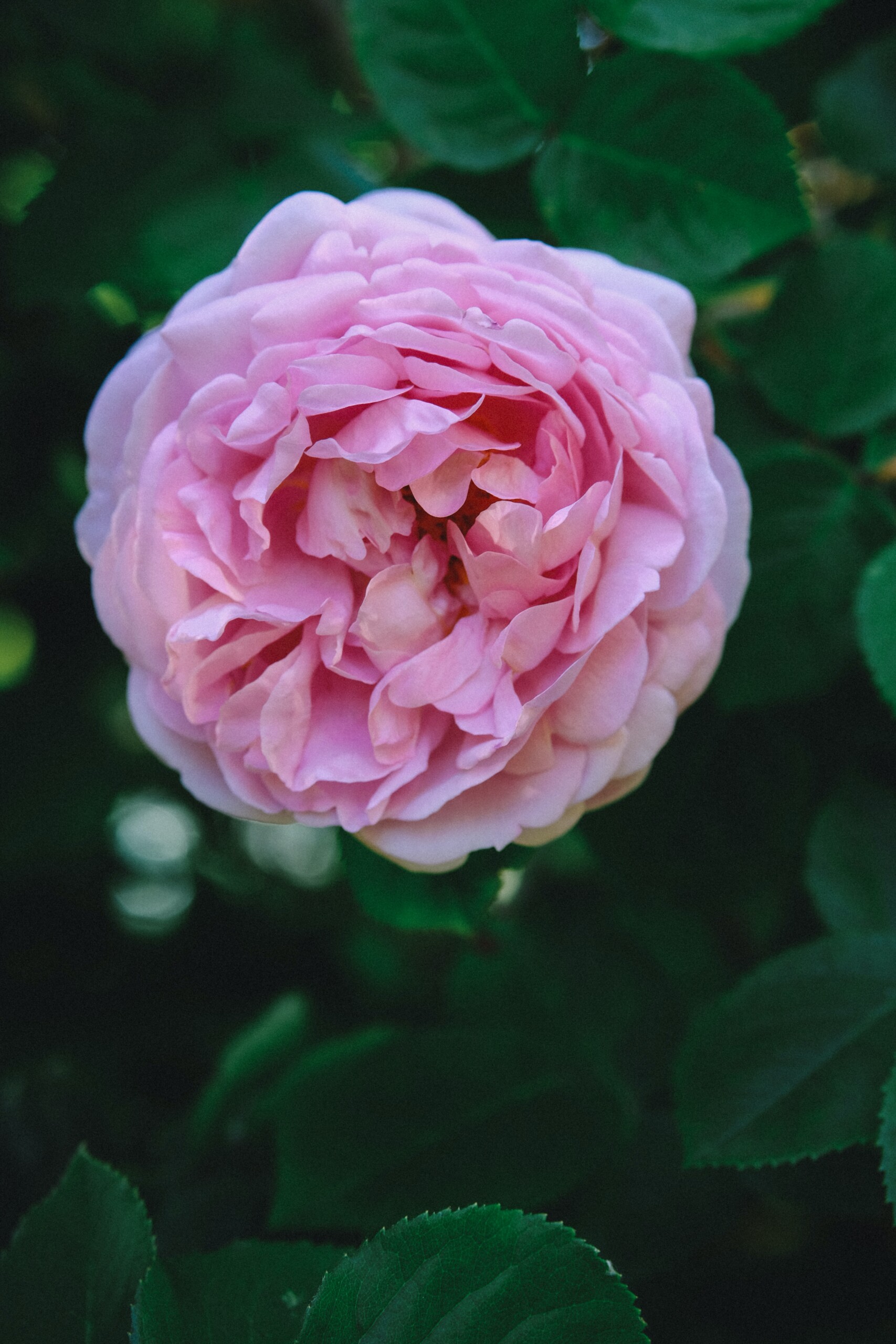 test